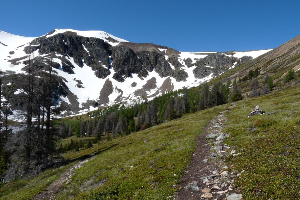 A hiking trail climbing a green alpine meadow toward snow-patched ridges in Cathedral Provincial Park.
