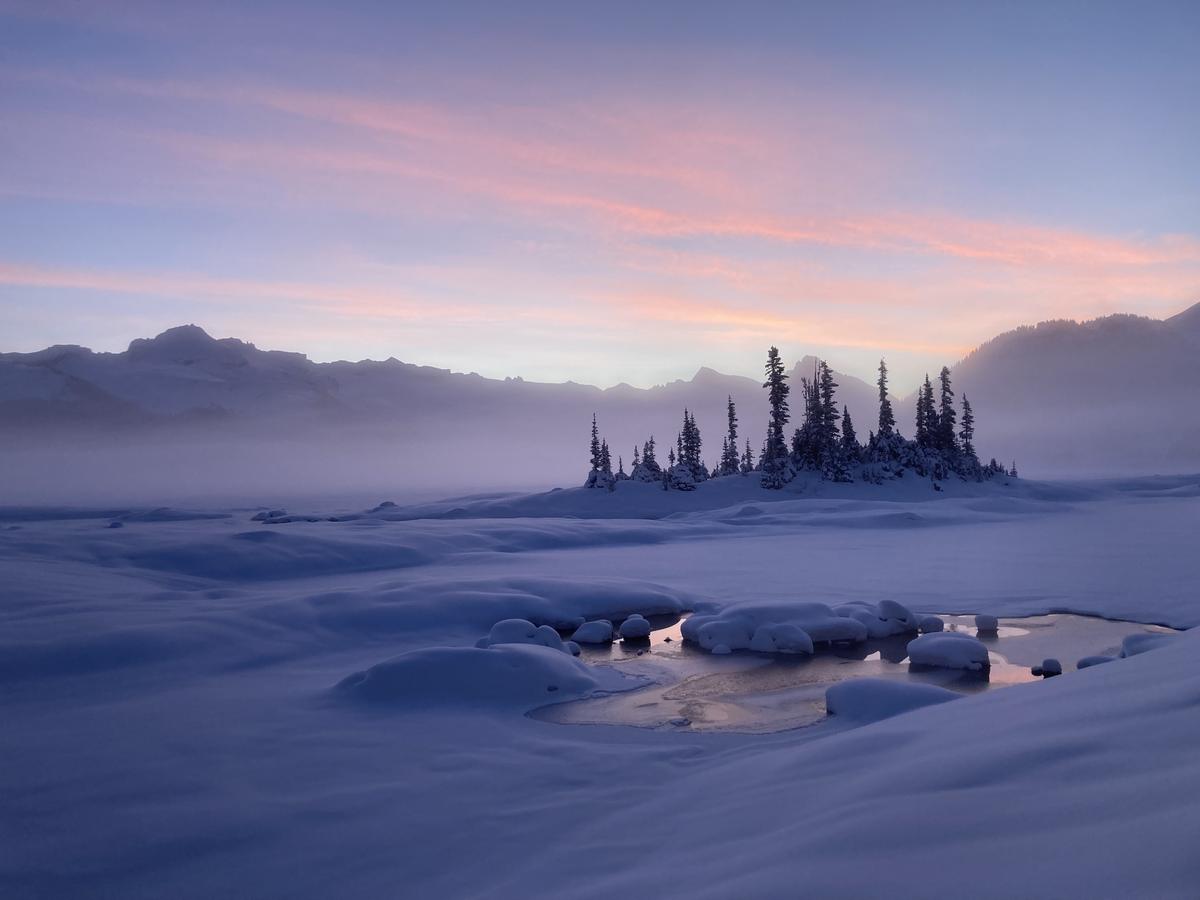 Snow-covered Garibaldi Lake at dawn, with a small treed island under a pink sky.