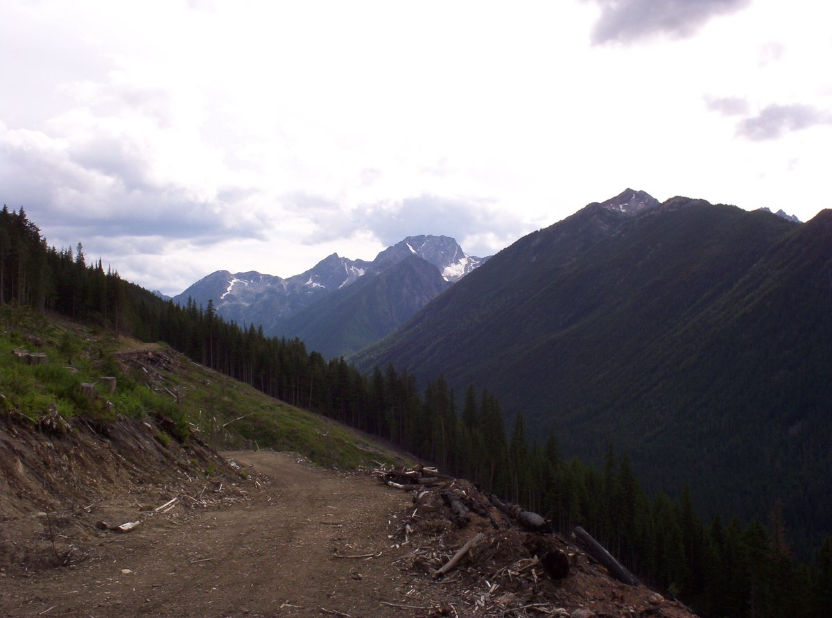 A dirt road cut across a forested slope, climbing toward the rocky peaks of the Kokanee Range.