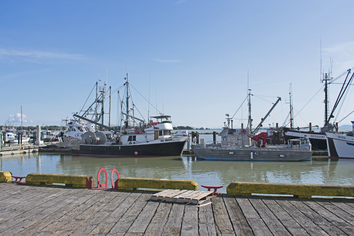 Fishing boats moored at Steveston Harbour, seen from a wooden wharf.