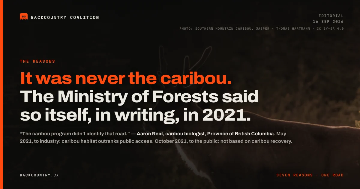 Card: a southern mountain caribou in timber behind the headline &ldquo;It was never the caribou. The Ministry of Forests said so itself, in writing, in 2021,&rdquo; the first sentence in orange.