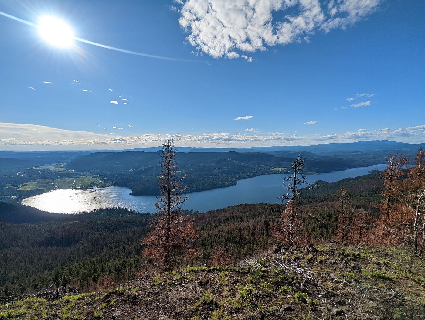 A long blue lake seen from a high lookout under a bright sun, with fire-killed trees standing on the ridge in the foreground.