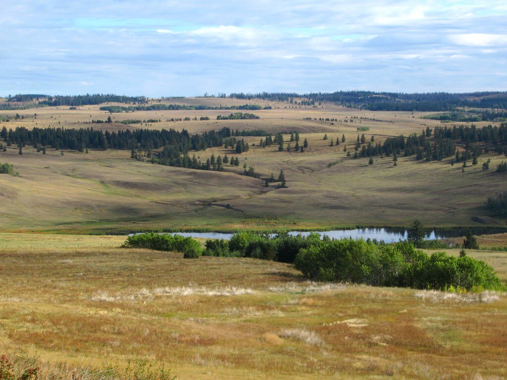 Open rolling grassland under a wide sky, dotted with stands of pine and aspen around a small lake: ranch country in the Cariboo-Chilcotin.
