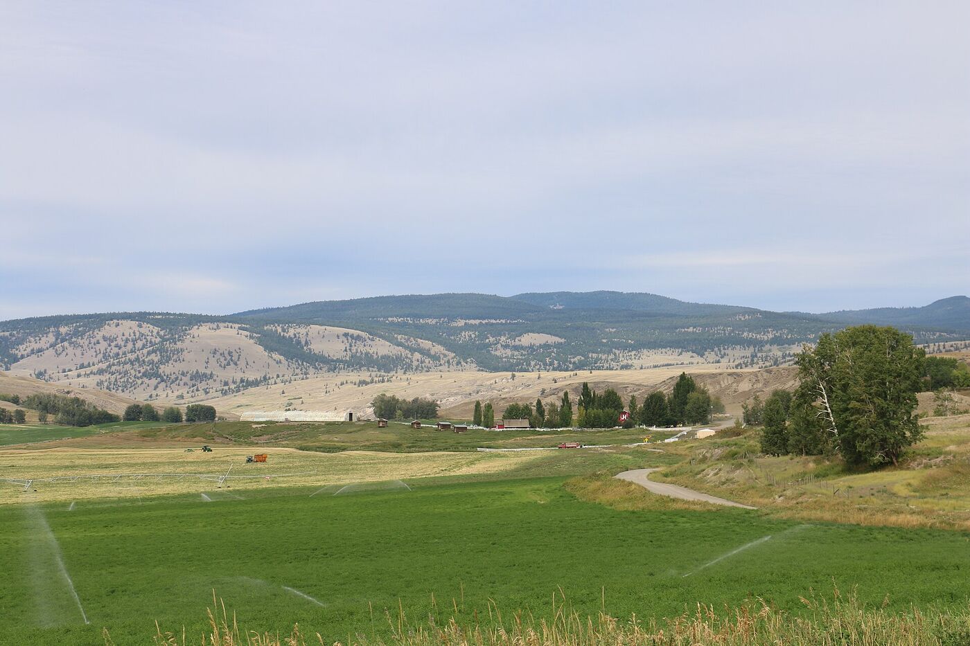 Irrigated green hayfields in a broad valley with ranch buildings beneath dry, open hills.