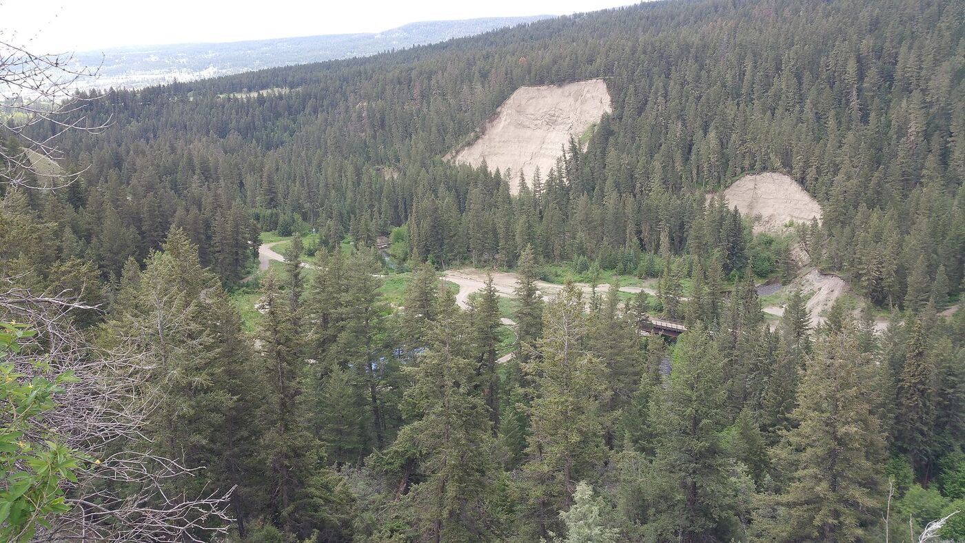 A forested valley of spruce and pine with pale clay banks and a trail along the valley floor.