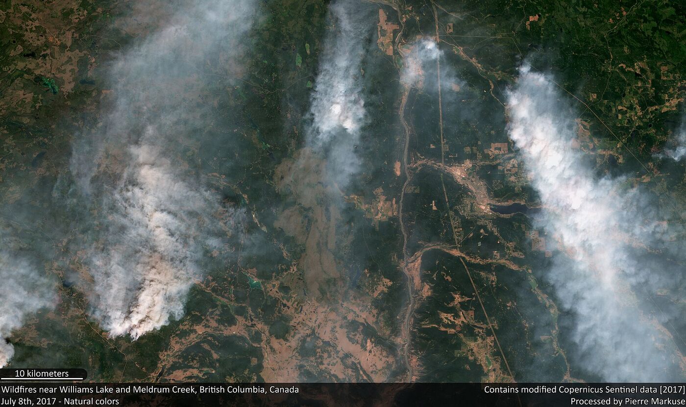 A satellite view of forested plateau and brown burn scars, with four tall white smoke plumes blowing north from active fires.