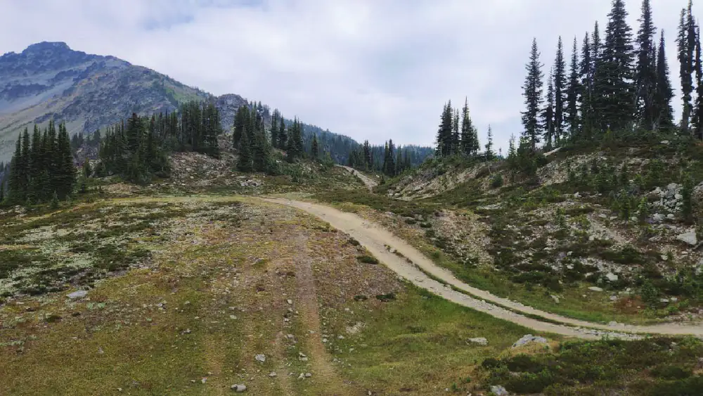 A single-lane gravel road crossing open subalpine meadow, scattered subalpine fir either side and a bare rocky peak on the skyline to the left. A second, narrower grassed wheel-track runs parallel through the heather.