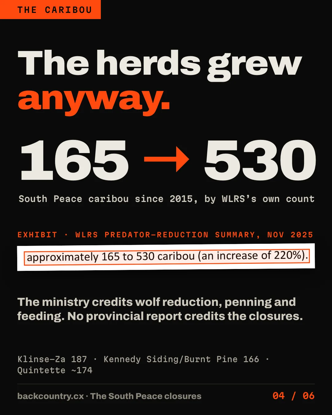 Slide 4 of 6. The herds grew anyway: 165 to 530 South Peace caribou since 2015, by WLRS's own count. Exhibit from the WLRS predator-reduction summary of November 2025, boxed: approximately 165 to 530 caribou (an increase of 220%). The ministry credits wolf reduction, penning and feeding; no provincial report credits the closures. Klinse-Za 187, Kennedy Siding/Burnt Pine 166, Quintette about 174.