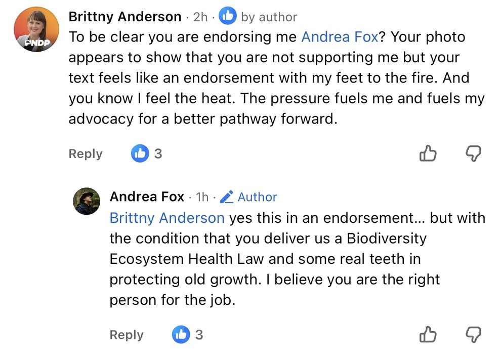 Two Facebook comments. Brittny Anderson: To be clear you are endorsing me Andrea Fox? Your photo appears to show that you are not supporting me but your text feels like an endorsement with my feet to the fire. And you know I feel the heat. The pressure fuels me and fuels my advocacy for a better pathway forward. Andrea Fox, marked Author, replies: yes this in an endorsement, but with the condition that you deliver us a Biodiversity Ecosystem Health Law and some real teeth in protecting old growth. I believe you are the right person for the job.