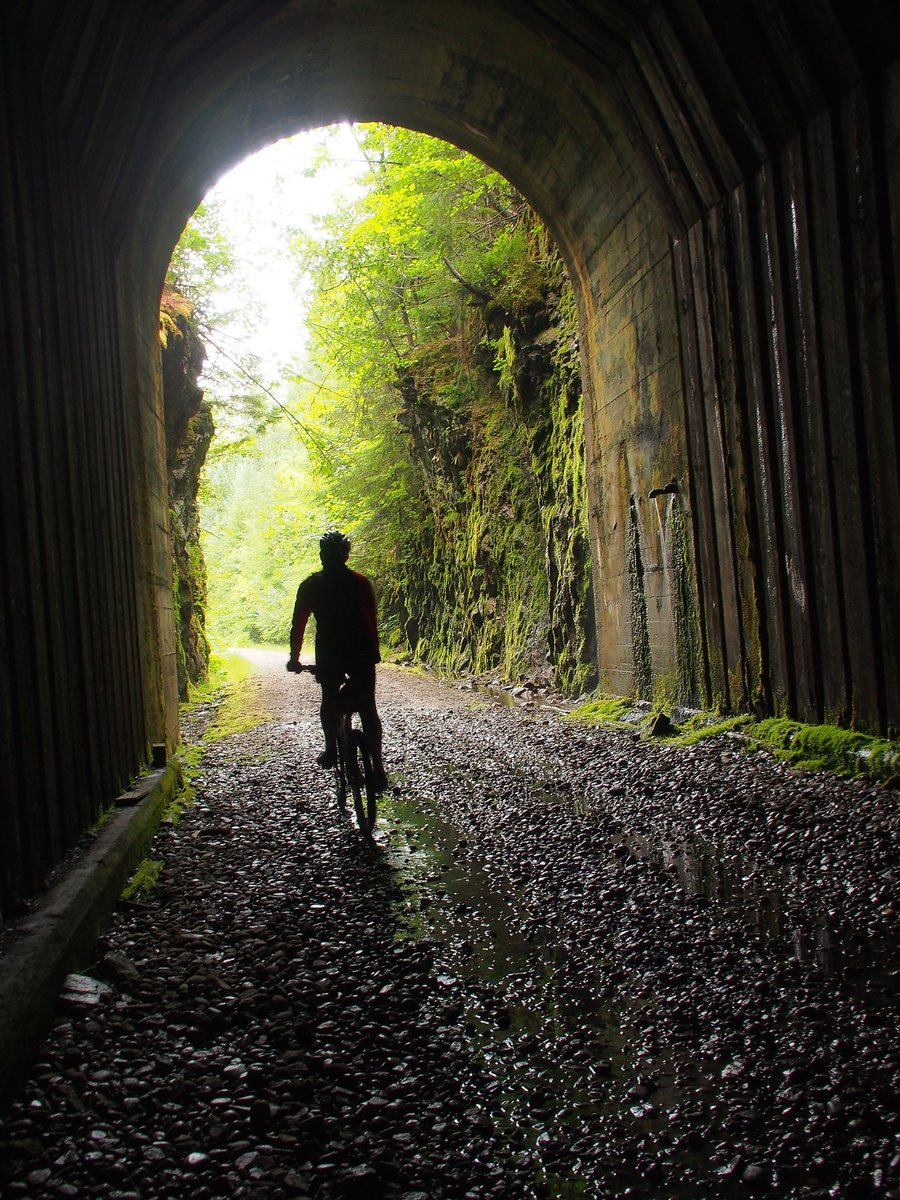 Seen from inside a tunnel, a cyclist rides out toward the bright green forest at the far portal.