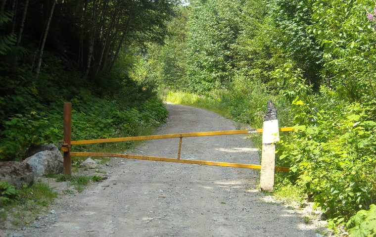 A yellow steel gate across a gravel forest service road that runs on into thick green forest.