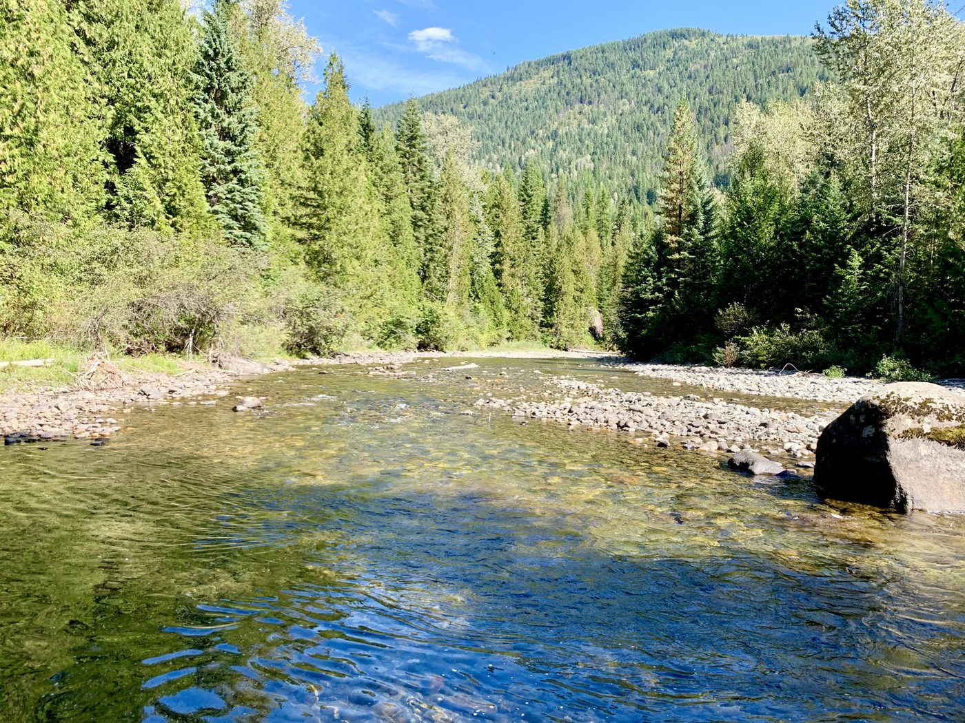 The Salmo River running clear and shallow over stones, between banks of tall conifers, near Ymir.