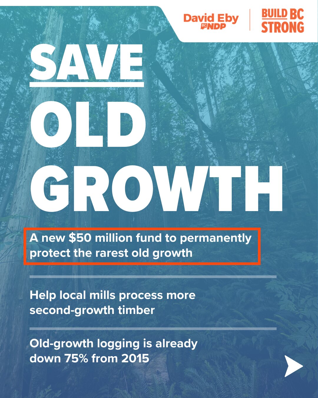 BC NDP graphic: Save old growth. Boxed: A new $50 million fund to permanently protect the rarest old growth. Then: Help local mills process more second-growth timber. Old-growth logging is already down 75% from 2015.