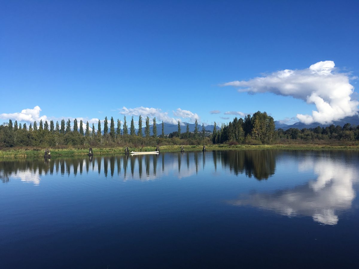 Burnaby Lake on a clear autumn day, with a row of poplars and the North Shore mountains reflected in still water.