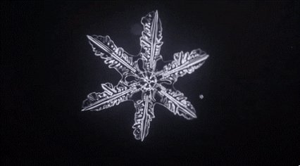 A still from the GIF George Anderson posted in reply: a white snowflake on a black background.