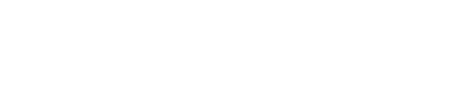 BC NDP